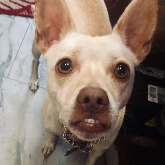 Meet your Posher, Karen - Picture 6 of 6